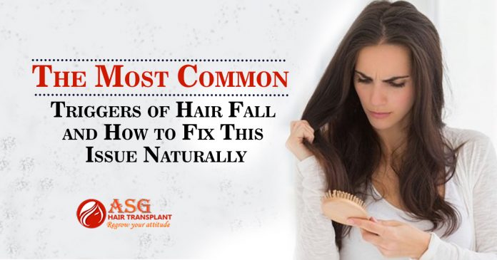 The Most Common Triggers of Hair Fall and How to Fix This Issue Naturally